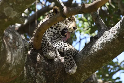 DSC_3969 (Large).JPG